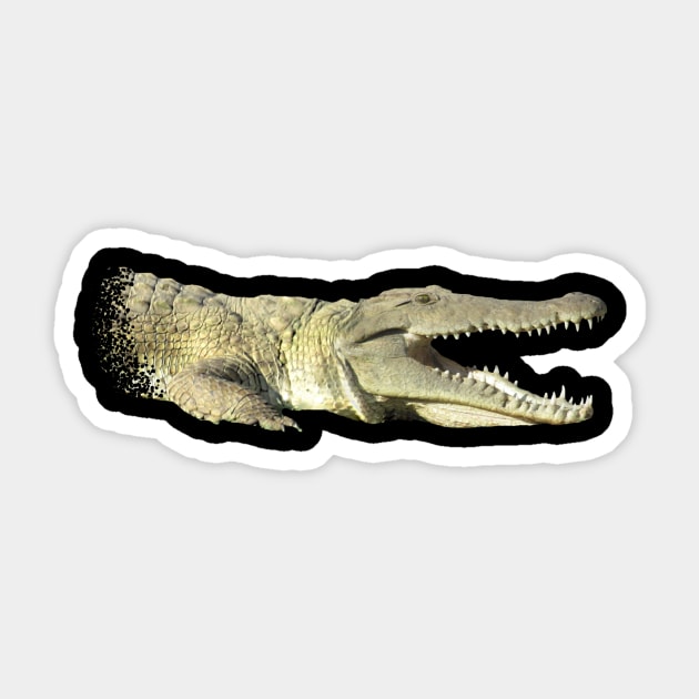 Crocodil - predator - Reptile - Africa Sticker by T-SHIRTS UND MEHR